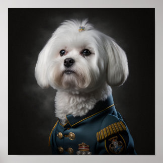 Fancy militair portret van Maltese puppy Dog Poster