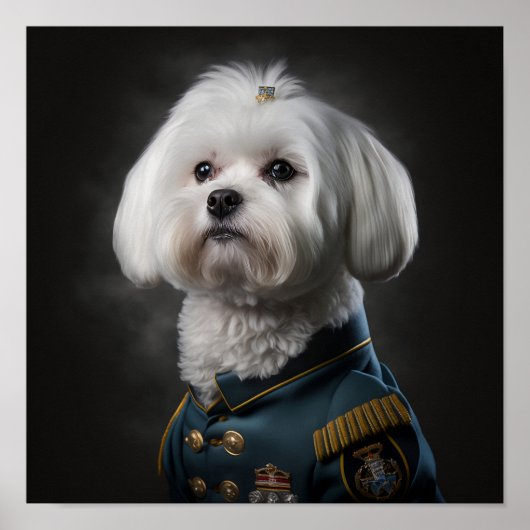 Fancy militair portret van Maltese puppy Dog Poster (Voorkant)