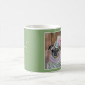 Fancy Mok Girl Pug (Center)