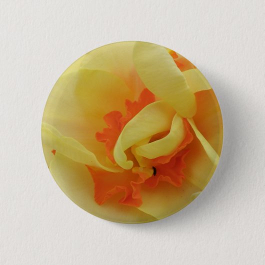 Fancy Narcis Knop Ronde Button 5,7 Cm (Voorkant)