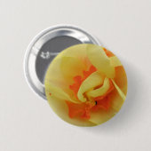 Fancy Narcis Knop Ronde Button 5,7 Cm (Voorkant /achterkant)