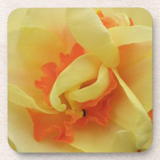 Fancy Narcis Kurk Onderzetter (Voorkant)