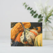 Fancy Natuur Fotografie Briefkaart (Staand voorkant)