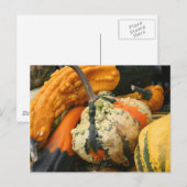 Fancy Natuur Fotografie Briefkaart (Voorkant / Achterkant)