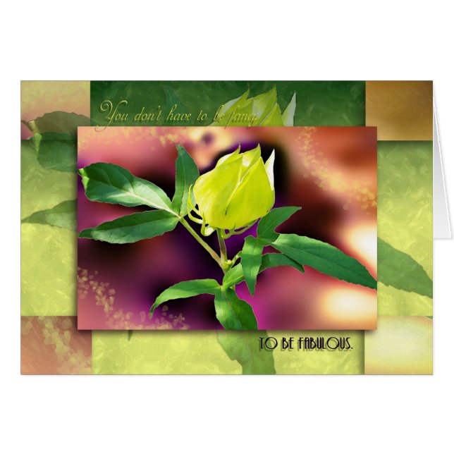 Fancy of Fabulous? (Voorkant Horizontaal)