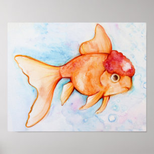 Fancy Oranda Goldfish Poster
