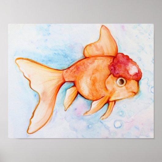 Fancy Oranda Goldfish Poster (Voorkant)