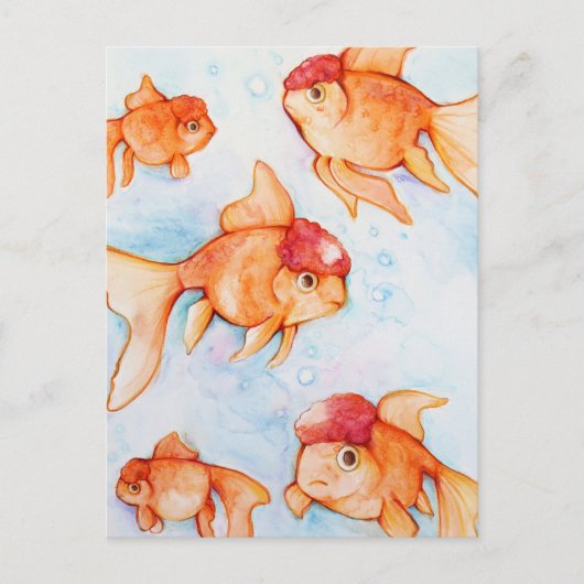 Fancy Oranda Goudvis Briefkaart (Voorkant)