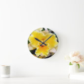 Fancy-orchidee- Ronde Klok (Huis)