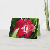 Fancy orchidee rood bedankkaart (Voorkant)