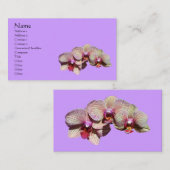 Fancy orchideeën Floral Visitekaartje (Voorkant / Achterkant)