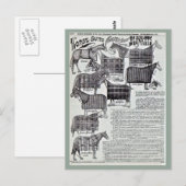 Fancy paardendoekjes briefkaart (Voorkant / Achterkant)
