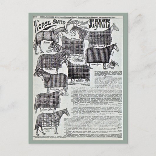 Fancy paardendoekjes briefkaart (Voorkant)