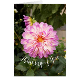 Fancy Paarse en Witte Dahlia Denken aan U Kaart