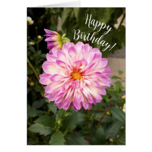 Fancy Paarse en witte Dahlia Happy Birthday Kaart