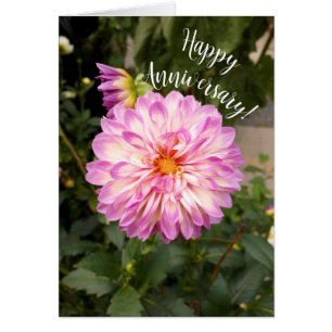 Fancy Paarse en Witte Dahlia Jubileum Kaart
