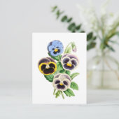 Fancy Pansies  illustratie Briefkaart (Staand voorkant)