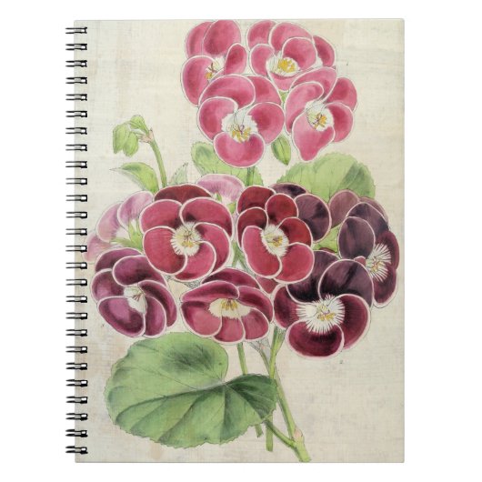 Fancy pelargoniën Notitieboek (Voorkant)