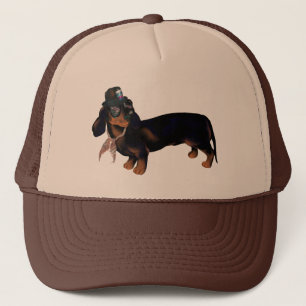 Fancy Pet Dachshund