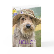 FANCY PUP - DENK AAN JOU KAART