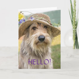 FANCY PUP - DENK AAN JOU KAART