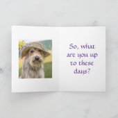 FANCY PUP - THINKING OF YOU CARD FEESTDAGEN KAART (Binnen)