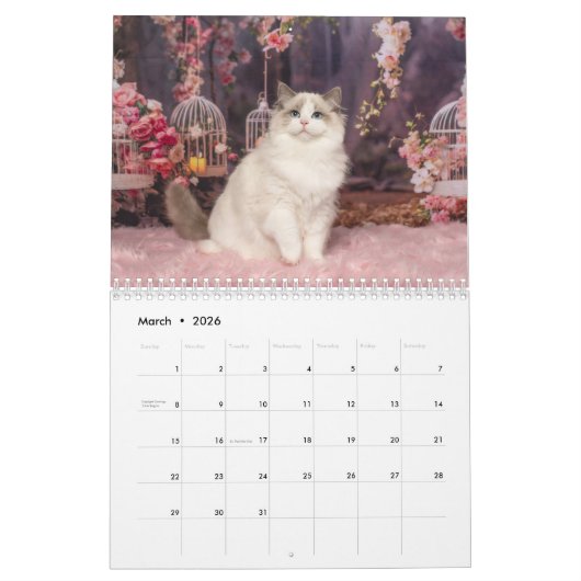Fancy Rags 12 month Calendar Kalender (Mar 2026)