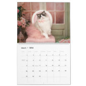 Fancy Rags Ragdoll Cat Calendar Kalender (Mar 2026)