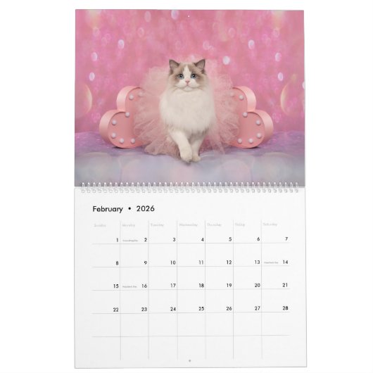 Fancy Rags Ragdoll Cat Calendar Kalender (Feb 2026)