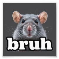 Fancy Rat Knaagdier Eigenaar Meme Bruh Huisdier Ra