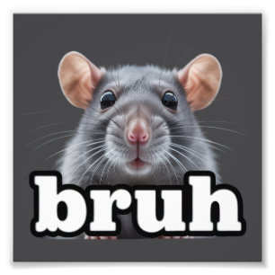 Fancy Rat Knaagdier Eigenaar Meme Bruh Huisdier Ra Foto Afdruk