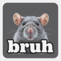 Fancy Rat Knaagdier Eigenaar Meme Bruh Huisdier Ra