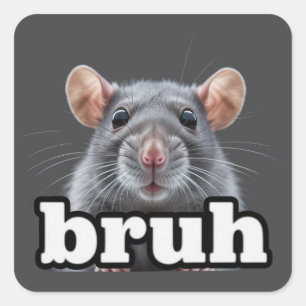 Fancy Rat Knaagdier Eigenaar Meme Bruh Huisdier Ra Vierkante Sticker