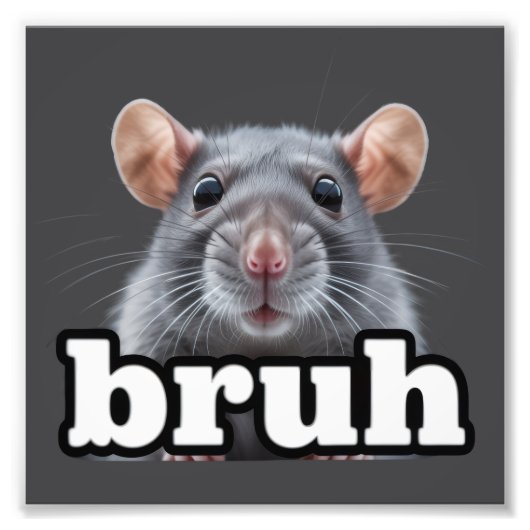 Fancy Rat Rodent Owner Meme Bruh Pet Rat Lover  Foto Afdruk (Voorkant)