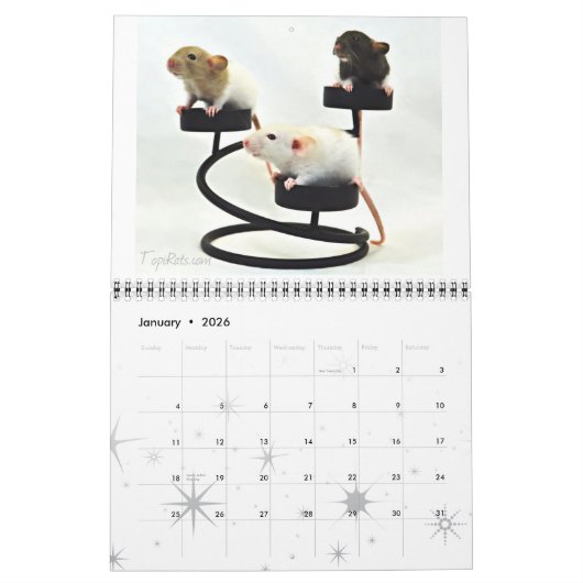 Fancy Rats 2013-agenda Kalender (Jan 2026)