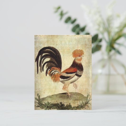 Fancy Rooster Briefkaart (Staand voorkant)