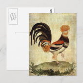 Fancy Rooster Briefkaart (Voorkant / Achterkant)
