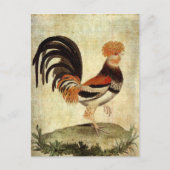 Fancy Rooster Briefkaart (Voorkant)