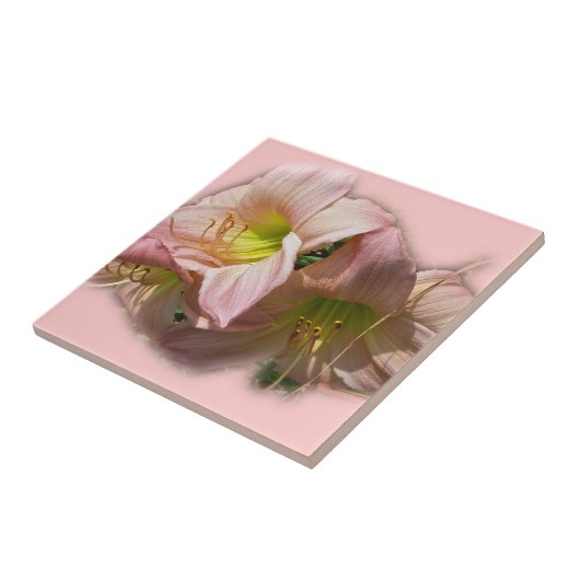 Fancy Roze Daylileuven Tegeltje (Zijkant)