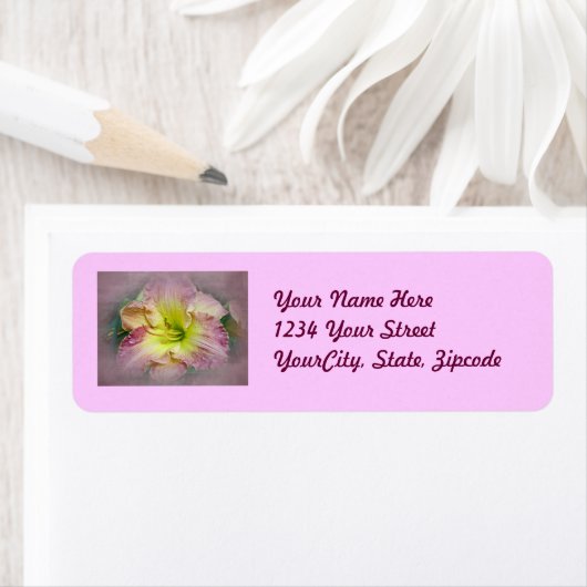 Fancy Roze Daylily Blossom Etiket (Insitu)