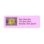 Fancy Roze Daylily Blossom Etiket (Voorkant)
