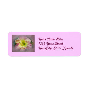 Fancy Roze Daylily Blossom Etiket