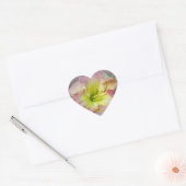 Fancy Roze Daylily Blossom Hart Sticker (Envelop)