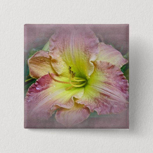 Fancy Roze Daylily Blossom Vierkante Button 5,1 Cm (Voorkant)