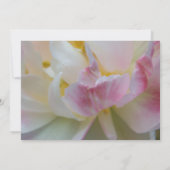 Fancy Roze Witte Tulp Lente-Equinox-viering Kaart (Achterkant)