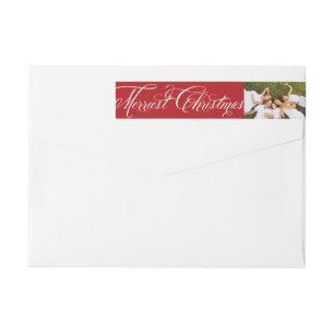 Fancy scriptadres voor meest feestkerst
