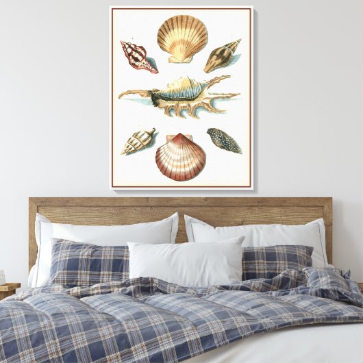 Fancy Shell Beach Canvas Afdruk (Insitu (Slaapkamer))