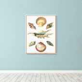 Fancy Shell Beach Canvas Afdruk (Insitu (Houten vloer))