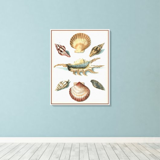 Fancy Shell Beach Canvas Afdruk (Insitu (Houten vloer))