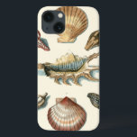 Fancy Shell Beach iPhone 13 Hoesje<br><div class="desc">George Wolfgang Knorr staat bekend om de delicate details en precisie van zijn illustraties van schelpen en zeester. Zijn tekeningen werden beïnvloed door zijn eigen interesse in wetenschap, een populair onderwerp van zijn tijd.</div>